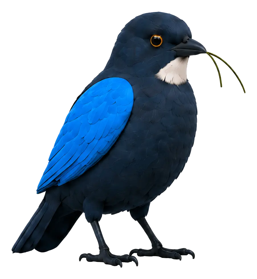 The Investably weaver bird perched on the branch beside the finished nest