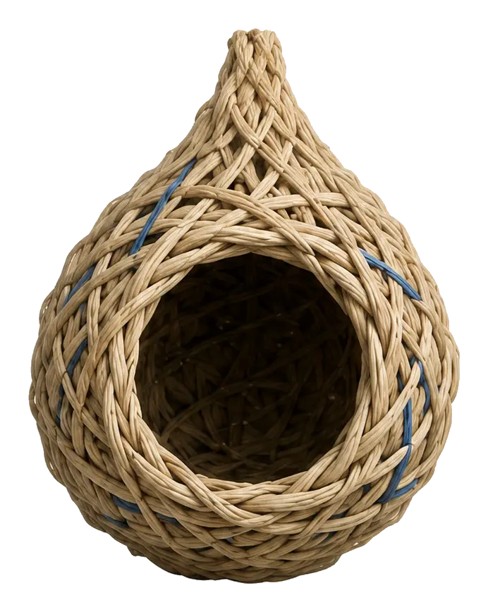 A completed weaver nest — the finished structure